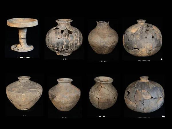 极其罕见!陕西有重大发现 极其罕见!陕西有重大发现