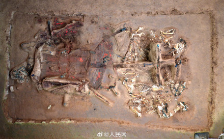 秦始皇帝陵考古取得重大收获 秦始皇帝陵考古取得重大收获