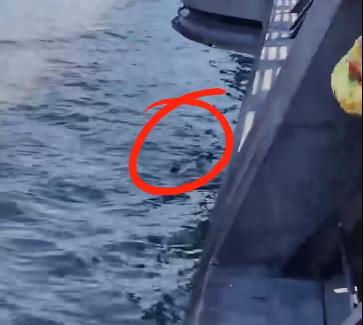 事发上海外滩!男孩突然坠入黄浦江,消防员回忆:从接警到抵达只用了2分钟 事发上海外滩!男孩突然坠入黄浦江,消防员回忆:从接警到抵达只用了2分钟