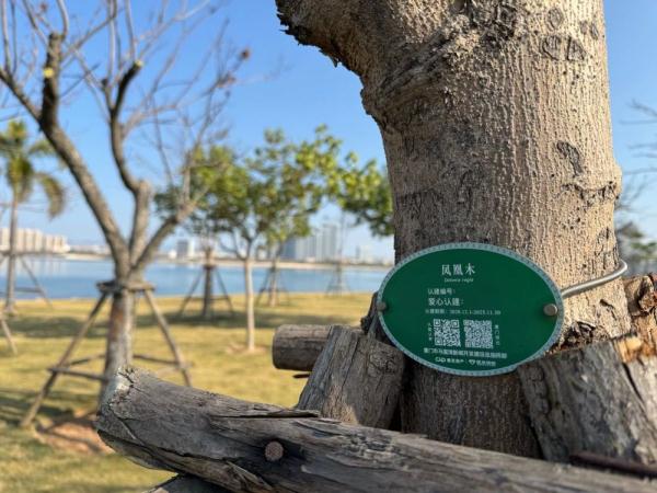 马銮湾生态“蜕变记”