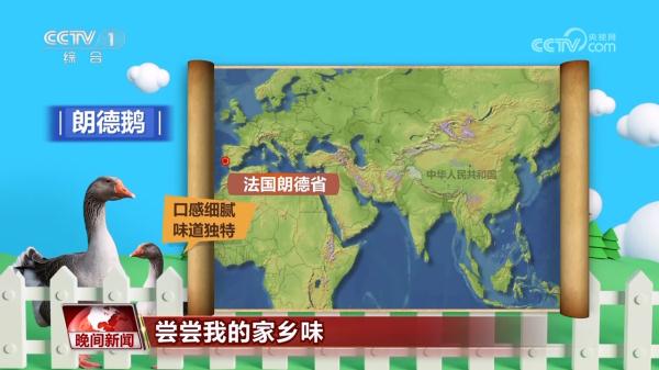 【尝尝我的家乡味】安徽霍邱：鹅肝小镇的鹅生意