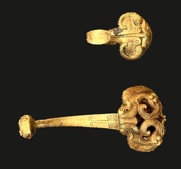 极其罕见!陕西有重大发现 极其罕见!陕西有重大发现