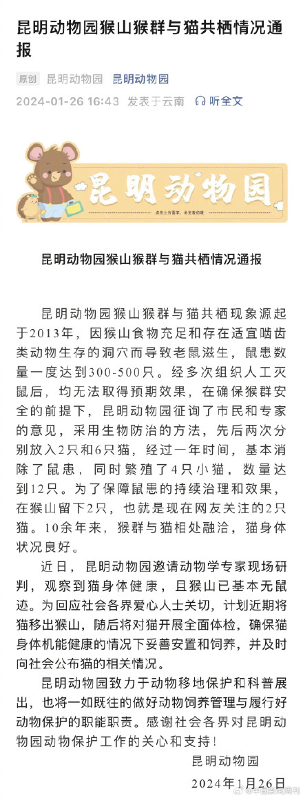昆明动物园再通报猴猫共处：计划近期将猫移出猴山，随后将对猫开展全面体检