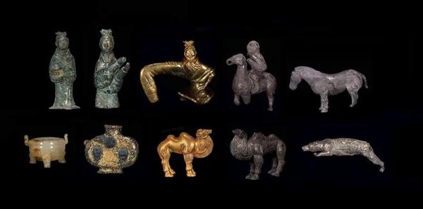 极其罕见!陕西有重大发现 极其罕见!陕西有重大发现