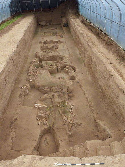 秦始皇帝陵考古取得重大收获 秦始皇帝陵考古取得重大收获