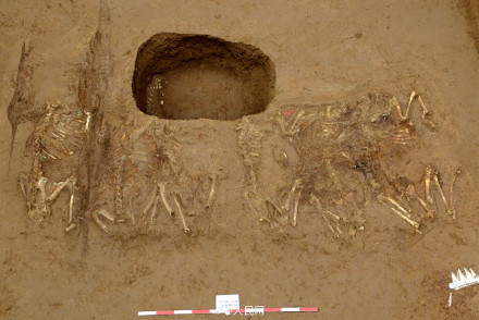 秦始皇帝陵考古取得重大收获 秦始皇帝陵考古取得重大收获