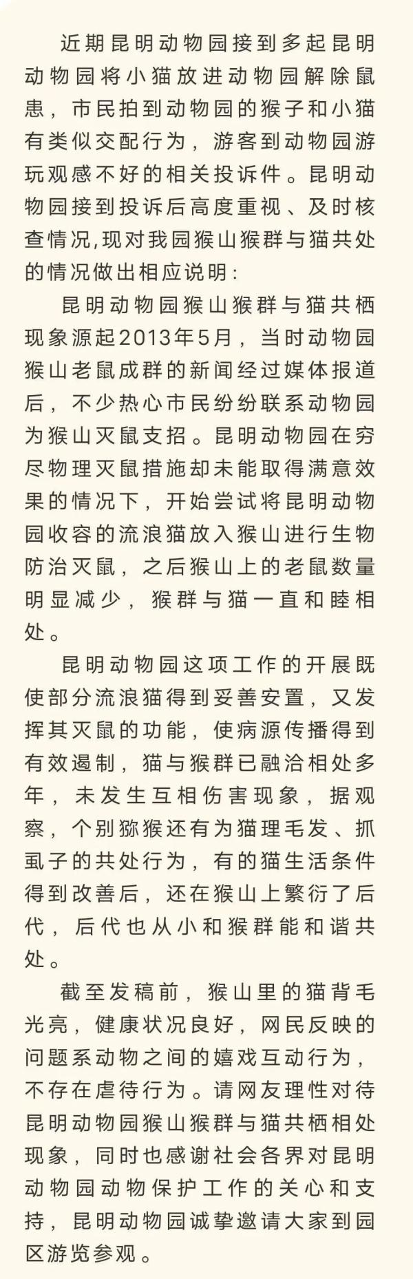 热搜第一！“猴子虐猫”？最新回应