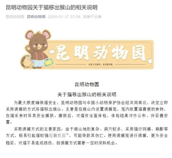 昆明动物园“猴猫共处”最新进展：将把猫移出猴山