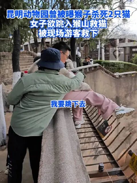 昆明动物园最新回应!猴子疑似虐猫,女子欲跳猴山救猫→ 昆明动物园最新回应!猴子疑似虐猫,女子欲跳猴山救猫→