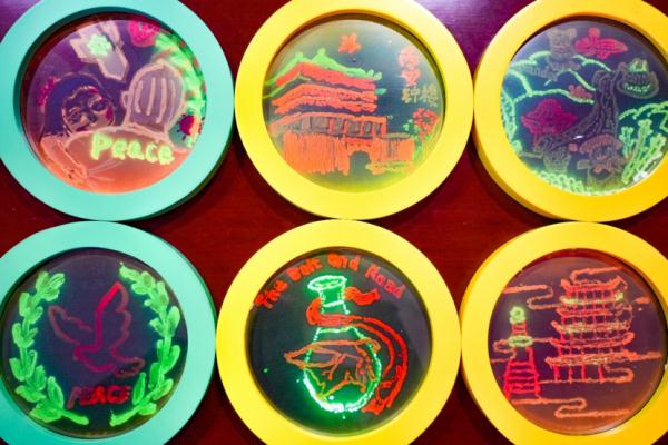 贾宝玉、孙悟空，你选谁做男友？这些考试题看蒙了…….