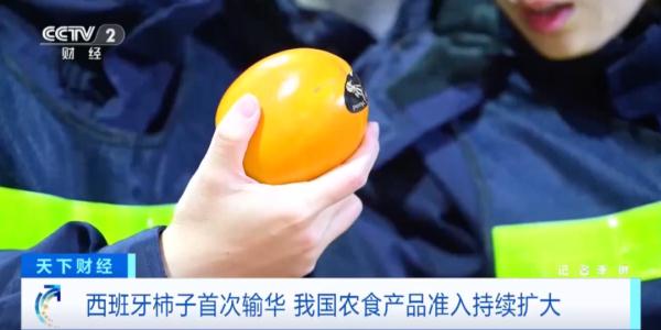 首次进入国内市场!这些进口水果,一整个大期待! 首次进入国内市场!这些进口水果,一整个大期待!