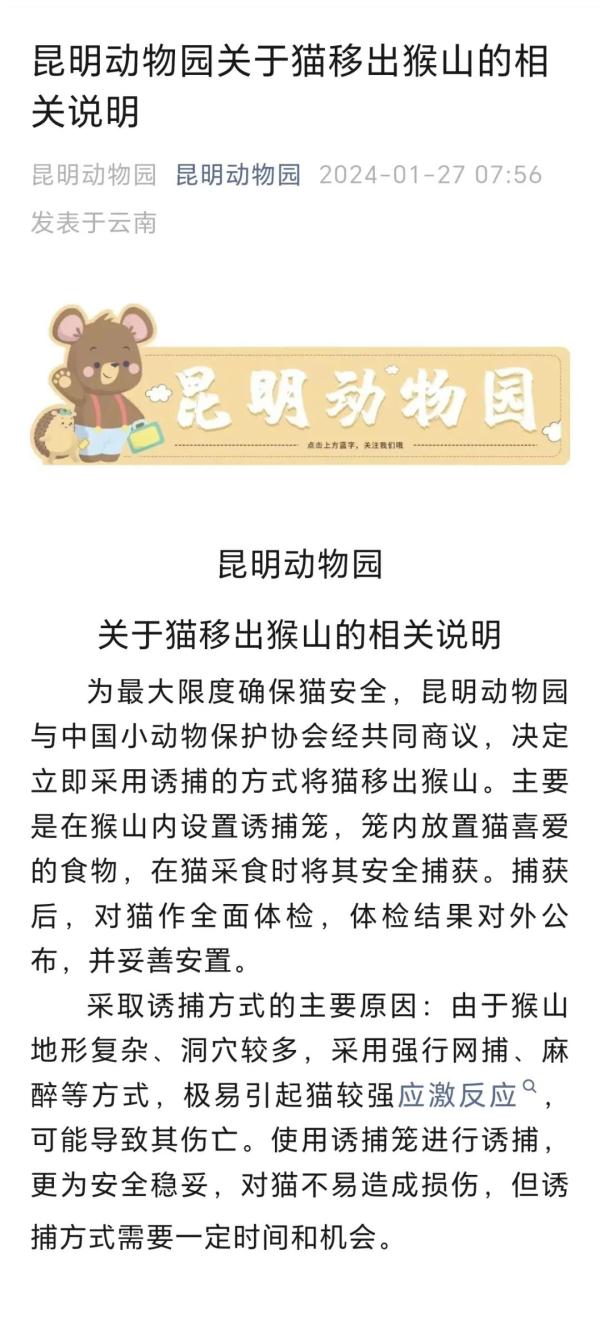 “猴子虐猫”？昆明动物园：计划将猫移出猴山
