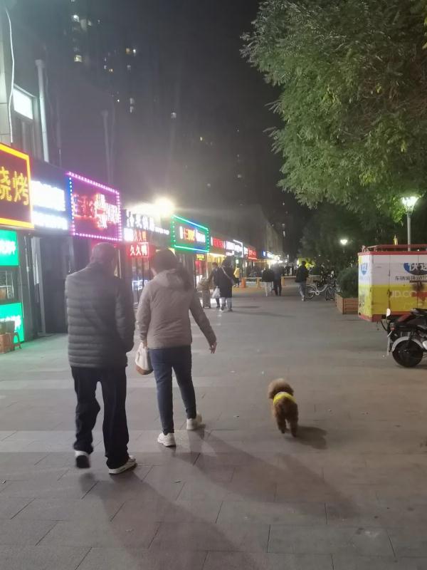 “狗咬人”有939篇裁判文书！“恶犬伤人”屡见不鲜问题到底出在哪？