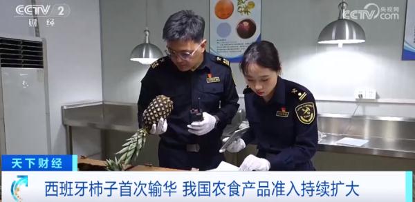 首次进入国内市场!这些进口水果,一整个大期待! 首次进入国内市场!这些进口水果,一整个大期待!