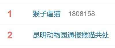 “猴猫共处”引争议！昆明动物园发布最新说明
