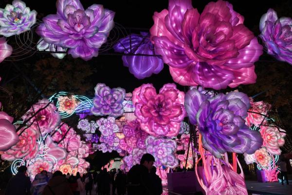 第53届成都国际熊猫灯会正式亮灯