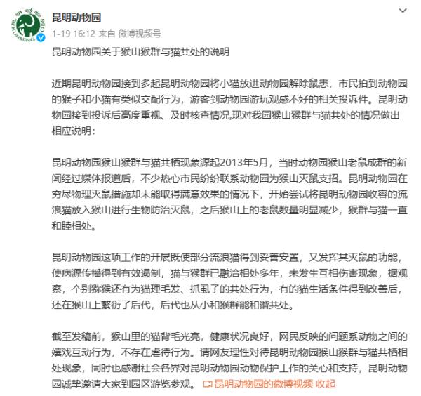 “猴子虐猫”冲上热搜第一？昆明动物园最新通报：将把猫移出猴山