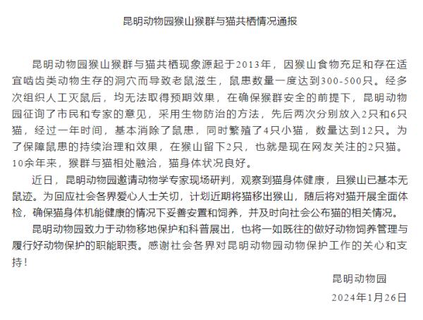 “猴猫共处”引争议！昆明动物园发布最新说明