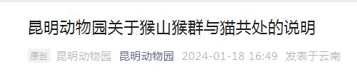 “猴猫共处”，昆明动物园最新回应！