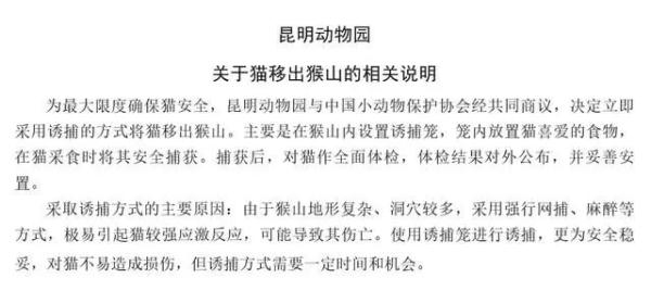 张馨予为“昆明动物园猴猫共处”事件发声
