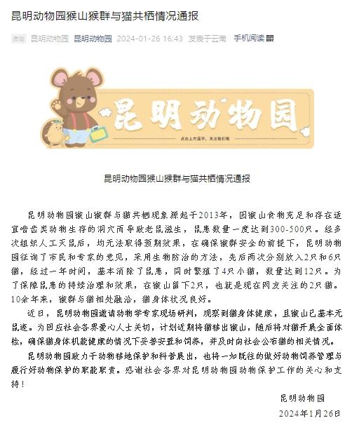 猴子虐猫？昆明动物园：计划近期将猫移出猴山