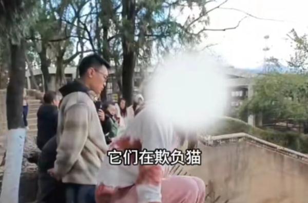 “猴子虐猫”事件最新进展，昆明动物园回应：立即行动！