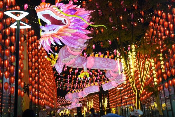 第53届成都国际熊猫灯会正式亮灯