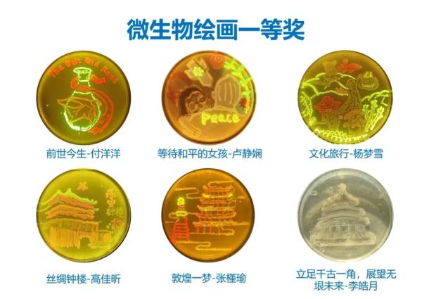贾宝玉、孙悟空，你选谁做男友？这些考试题看蒙了…….
