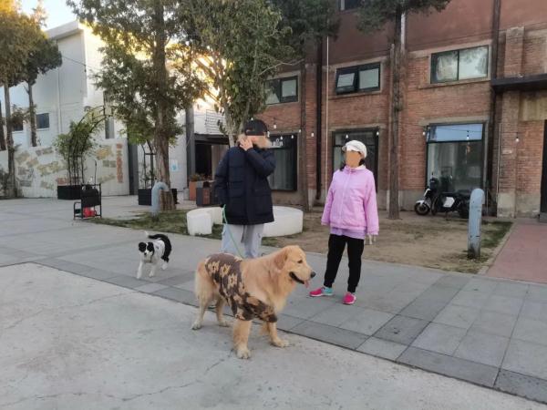 “狗咬人”有939篇裁判文书！“恶犬伤人”屡见不鲜问题到底出在哪？