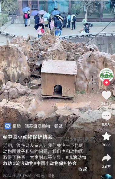 “猴猫共处”，昆明动物园最新回应！
