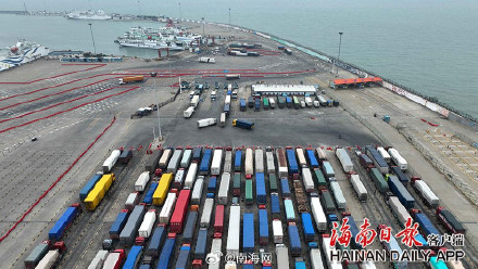海口新海港春运首日：旅客过海“忙” 带“福”气回家