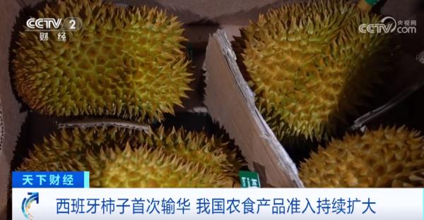 首次进入国内市场!这些进口水果,一整个大期待! 首次进入国内市场!这些进口水果,一整个大期待!