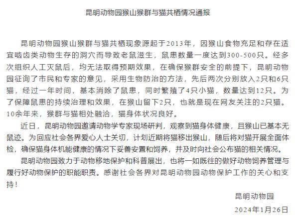 “猴子虐猫”冲上热搜第一？昆明动物园再通报！