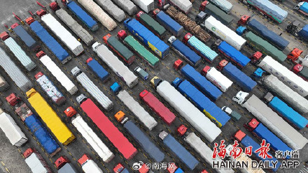 海口新海港春运首日：旅客过海“忙” 带“福”气回家