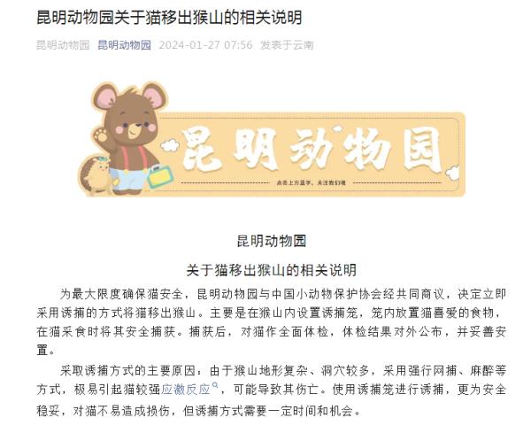 “猴猫共处”，昆明动物园最新回应！