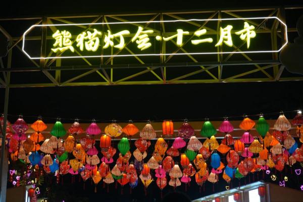 第53届成都国际熊猫灯会正式亮灯