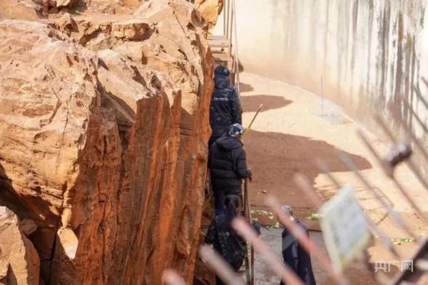 昆明动物园猴山2只猫终于移出！女星张馨予为此事发声……