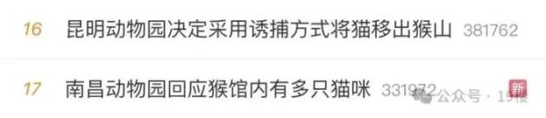 两只猫安全移出猴山！昆明动物园最新表态