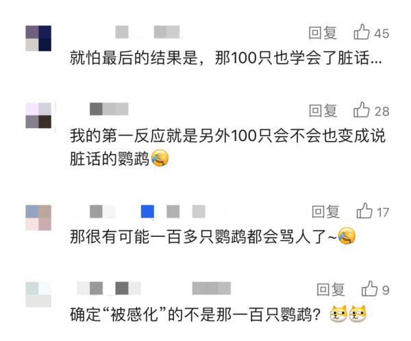 8只鹦鹉因爱说脏话被罚！更可怕的是..."队伍"即将壮大→
