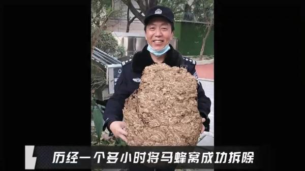 这个马蜂窝捅定了! 这个马蜂窝捅定了!