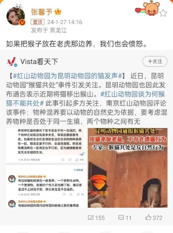 昆明动物园猴山2只猫终于移出！女星张馨予为此事发声……
