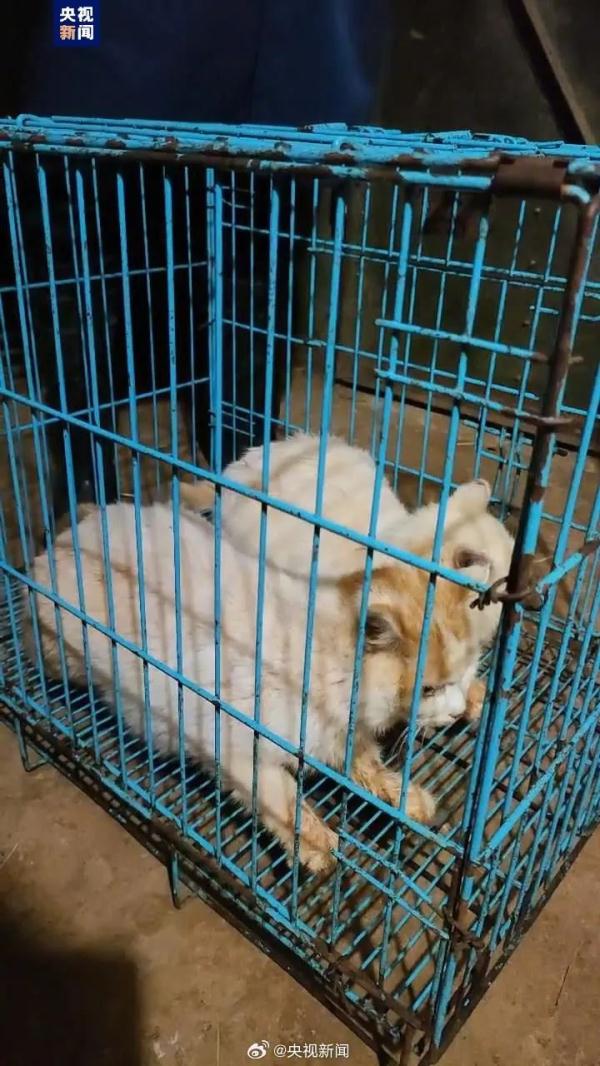 昆明动物园最新通报