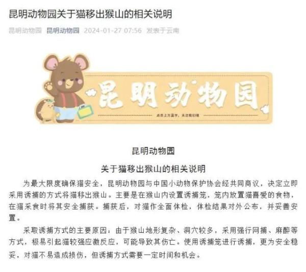 两只猫安全移出猴山！昆明动物园最新表态