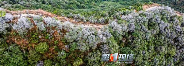 小冰人下线 &nbsp;但 “回南天”可能要来，深圳过年天气提前剧透→