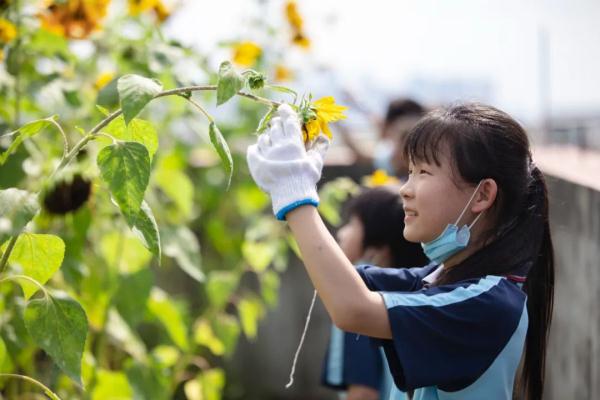 2元/生·课时!广州发布课后服务收费标准 2元/生·课时!广州发布课后服务收费标准