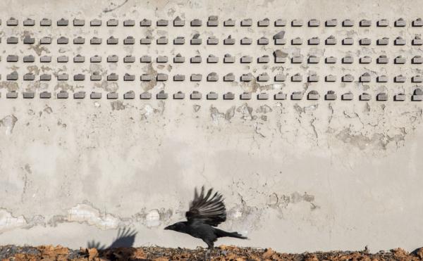 德国法兰克福:老犹太公墓外的“姓名墙” 德国法兰克福:老犹太公墓外的“姓名墙”