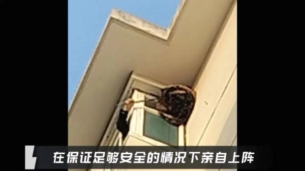 这个马蜂窝捅定了! 这个马蜂窝捅定了!