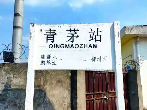 春运开始!哪个站牌是你的牵挂? 春运开始!哪个站牌是你的牵挂?