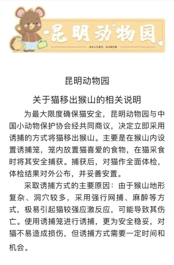 昆明动物园猴山2只猫终于移出！女星张馨予为此事发声……