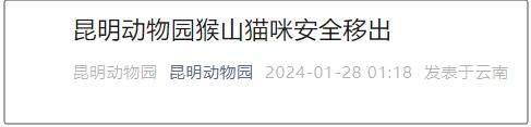 昆明动物园猴山猫咪安全移出